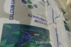 WhatsApp-Image-2024-02-28-at-13.27.01