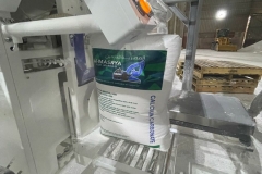 WhatsApp-Image-2024-03-03-at-14.15.38-1